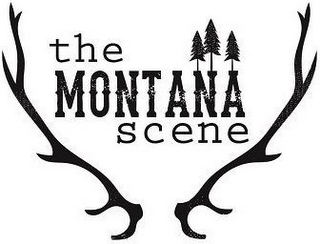 THE MONTANA SCENE logo