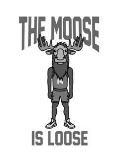 THE MOOSE IS LOOSE 14 logo