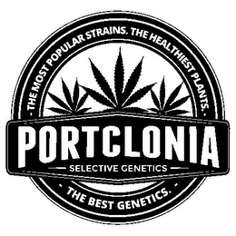- THE MOST POPULAR STRAINS. THE HEALTHIEST PLANTS. - - THE BEST GENETICS.- PORTCLONIA SELECTIVE GENETICS logo
