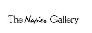 THE NAPIER GALLERY logo