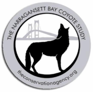 THE NARRAGANSETT BAY COYOTE STUDY THECONSERVATIONAGENCY.ORG logo