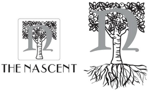 THE NASCENT NN logo