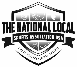 THE NATIONAL LOCAL SPORTS ASSOCIATION USA  I PLAY PROFESSIONAL SPORTS logo