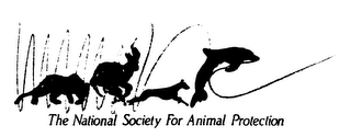 THE NATIONAL SOCIETY FOR ANIMAL PROTECTION logo