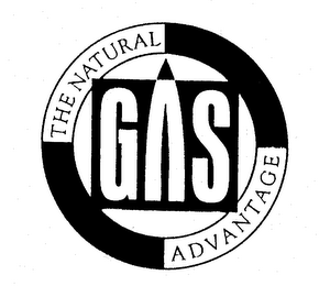 THE NATURAL GAS ADVANTAGE logo