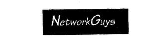 THE NETWORKGUYS INC. logo