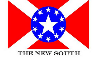 THE NEW SOUTH logo