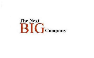 THE NEXT BIG COMPANY logo