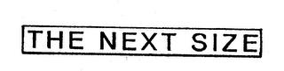 THE NEXT SIZE logo