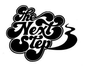 THE NEXT STEP logo