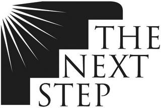 THE NEXT STEP logo