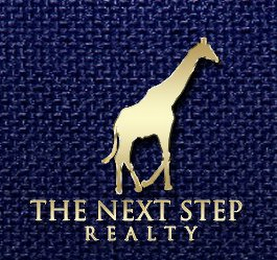 THE NEXT STEP REALTY logo