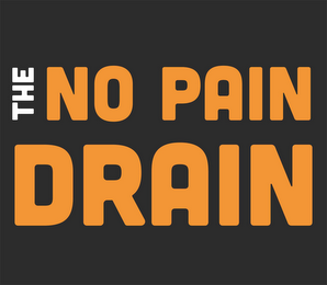 THE NO PAIN DRAIN logo