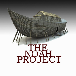THE NOAH PROJECT logo