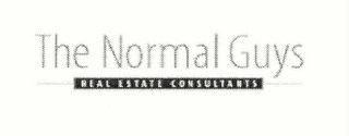 THE NORMAL GUYS REAL ESTATE CONSULTANTS logo