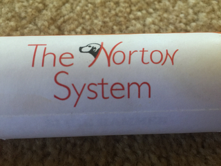 THE NORTON SYSTEM logo