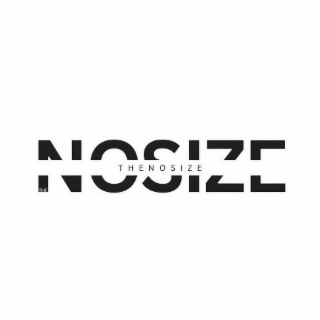 THE NOSIZE THE NOSIZE logo