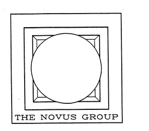 THE NOVUS GROUP logo