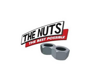 THE NUTS THE BEST POSSIBLE logo