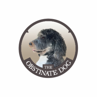 THE OBSTINATE DOG logo