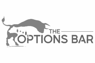 THE OPTIONS BAR logo