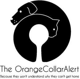 THE ORANGECOLLARALERT BECAUSE THEY WON'T UNDERSTAND WHY THEY CAN'T GET HOME logo