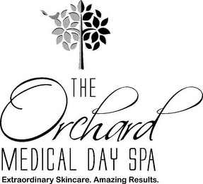 THE ORCHARD MEDICAL DAY SPA EXTRAORDINARY SKINCARE. AMAZING RESULTS. logo