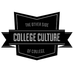 THE OTHER SIDE OF COLLEGE COLLEGE CULTURE logo