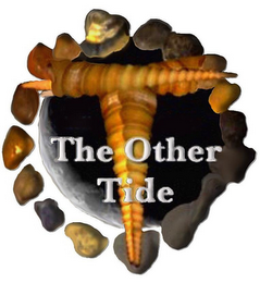 THE OTHER TIDE logo