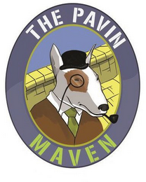 THE PAVIN MAVEN logo