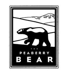 THE PEABERRY BEAR logo