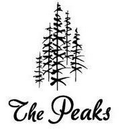 THE PEAKS logo