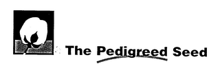 THE PEDIGREED SEED logo
