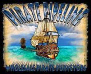 THE PIRATE PIPELINE WHOLESALE PIRATE PURVEYORS logo
