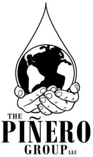 THE PIÑERO GROUP LLC logo