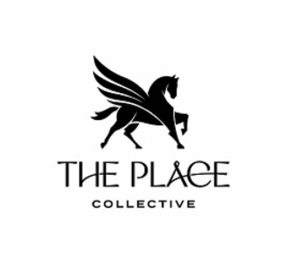THE PLACE COLLECTIVE logo