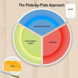 THE PLATE-BY-PLATE APPROACH DAIRY GRAIN / STARCHES VEGETABLES /FRUITS PROTEIN FATS logo