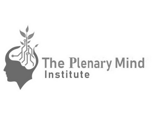 THE PLENARY MIND INSTITUTE logo
