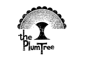THE PLUM TREE logo
