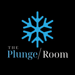 THE PLUNGE/ROOM logo