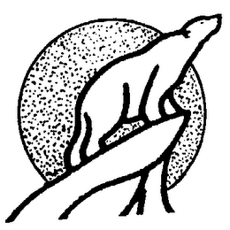 THE POLAR FILM CORPORATION logo