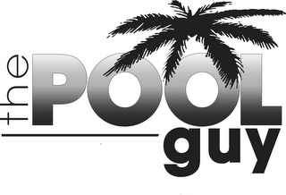 THE POOL GUY logo