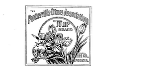 THE PORTERVILLE CITRUS ASSOCIATION TULIP BRAND GROWN AND PACKED IN TULARE CO., CALIFORNIA. logo