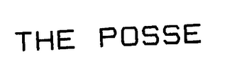 THE POSSE SUCCESSOR TO TEENAGE MUTANT NINJA TURTLES logo