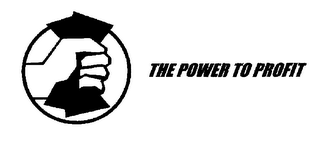 THE POWER TO PROFIT logo