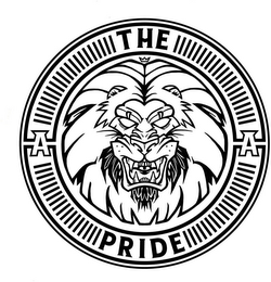 THE PRIDE AA logo