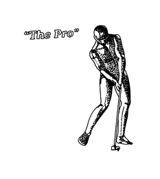 THE PRO' logo