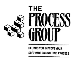 THE PROCESS GROUP HELPING YOU IMPROVE YOUR SOFTWARE ENGINEERING PROCESS logo