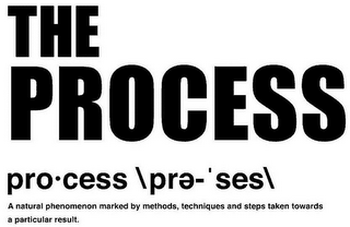 THE PROCESS PRO·CESS \PRE-'SES\ A NATURAL PHENOMENON MARKED BY METHODS, TECHNIQUES AND STEPS TAKEN TOWARDS A PARTICULAR RESULT logo