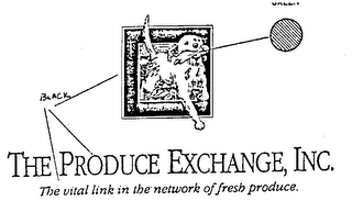 THE PRODUCE EXCHANGE, INC. THE VITAL LINK IN THE NETWORK OF FRESH PRODUCE. logo